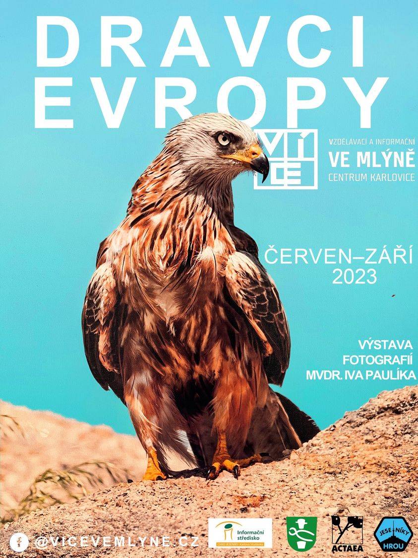 Výstava dravci Evropy