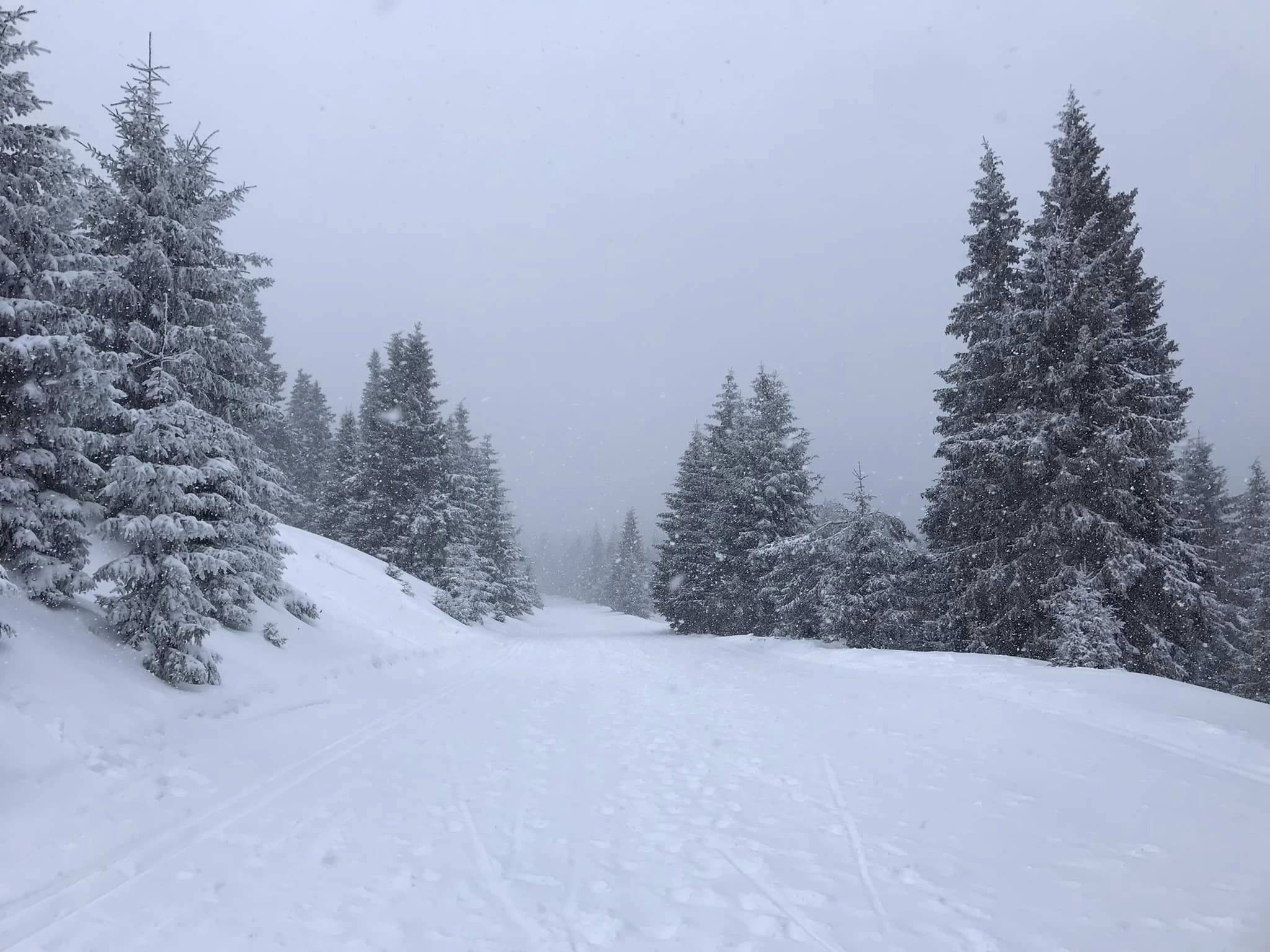 Jak probíhá příprava programů pro děti?