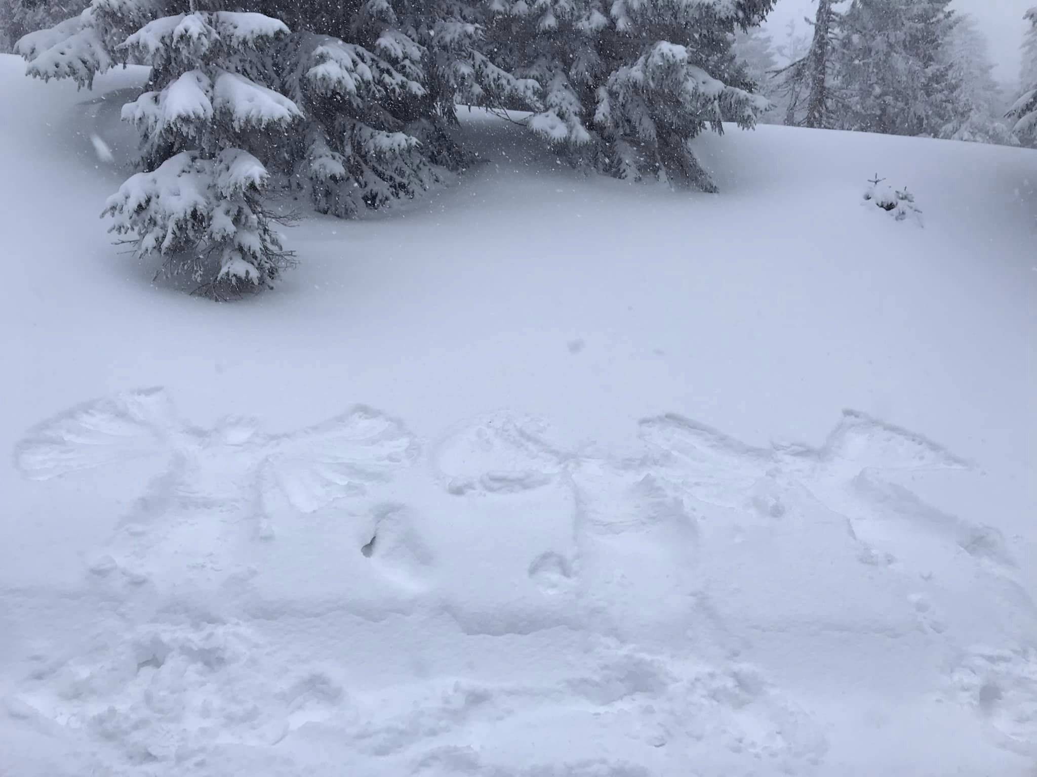 Jak probíhá příprava programů pro děti?