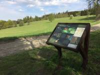 Hledačka stromová ve Vrbně pod Pradědem