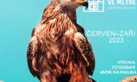 Výstava dravci Evropy