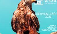 Výstava dravci Evropy ve mlýně!